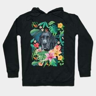 Tropical Black Labrador Retriever Hoodie